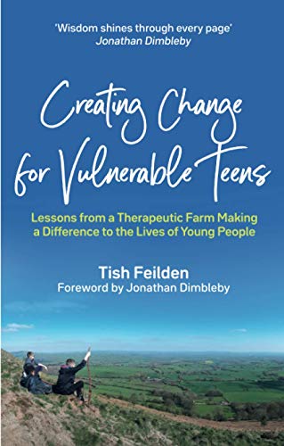 Stock image for Creating Change for Vulnerable Teens for sale by Blackwell's