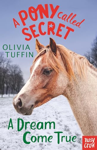 9781788000536: A Pony Called Secret: A Dream Come True