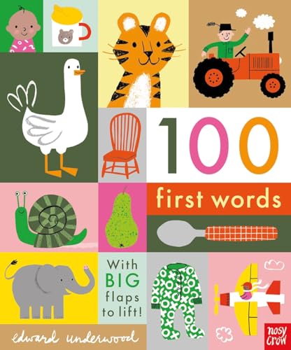 Beispielbild fr 100 First Words zum Verkauf von Blackwell's