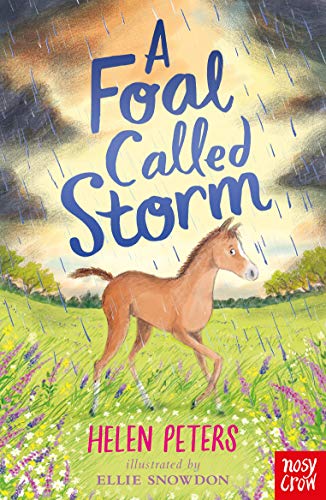 Beispielbild fr A Foal Called Storm zum Verkauf von WorldofBooks