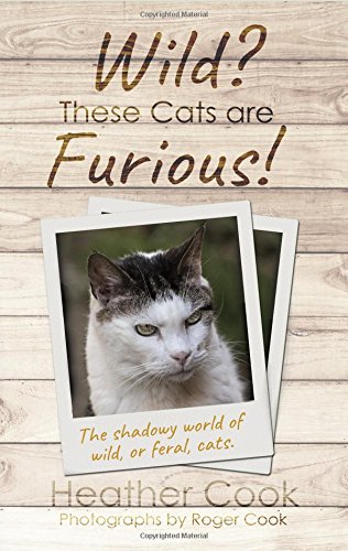Beispielbild fr Wild? These Cats are Furious! zum Verkauf von WorldofBooks