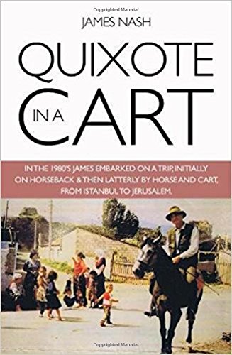 Beispielbild fr Quixote in a Cart zum Verkauf von WorldofBooks