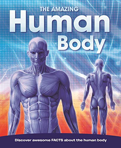 9781788102612: The Amazing Human Body