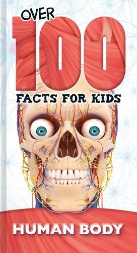 Beispielbild fr The Human Body (Over 100 Facts for Kids) zum Verkauf von WorldofBooks