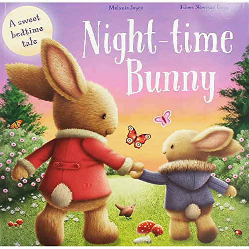 Stock image for Night-Time Bunny (Picture Flats) for sale by Reuseabook
