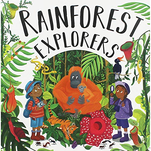 9781788109703: Rainforest Explorers (Amazing Journeys)