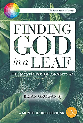 Beispielbild fr Finding God in a Leaf: The Mysticism of Laudato Si' zum Verkauf von WorldofBooks