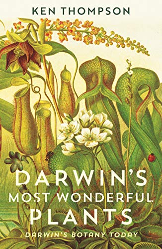 Stock image for Darwin's Most Wonderful Plants: Darwin's Botany Today for sale by WorldofBooks