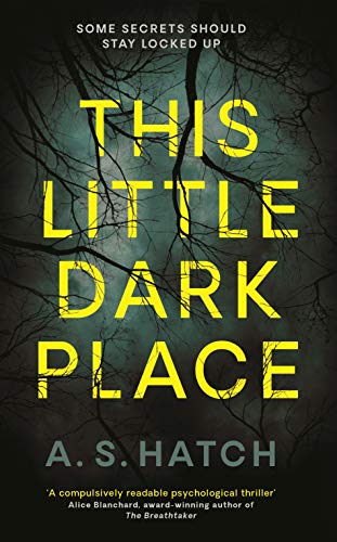 Stock image for This Little Dark Place for sale by Brit Books
