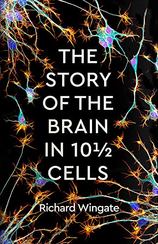 Imagen de archivo de The Story of the Brain in 10½ Cells a la venta por WorldofBooks