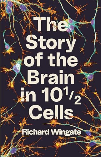 Stock image for The Story of the Brain in 10½ Cells for sale by WorldofBooks
