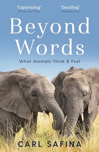 Stock image for Beyond Words : What Animals Think and Feel for sale by Smartbuy