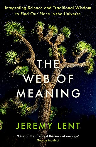 Stock image for The Web of Meaning: Integrating Science and Traditional Wisdom to Find Our Place in the Universe for sale by WorldofBooks