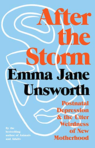 Beispielbild fr After the Storm: Postnatal Depression and the Utter Weirdness of New Motherhood zum Verkauf von WorldofBooks