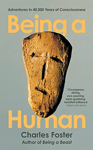 9781788167178: Being a Human: Adventures in 40,000 Years of Consciousness