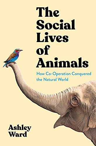 Imagen de archivo de The Social Lives of Animals: How Co-operation Conquered the Natural World a la venta por WorldofBooks