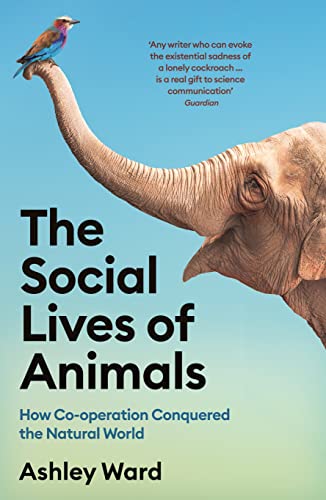 Imagen de archivo de The Social Lives of Animals: How Co-operation Conquered the Natural World a la venta por WorldofBooks