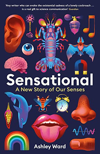 Imagen de archivo de Sensational: A New Story of our Senses a la venta por WorldofBooks