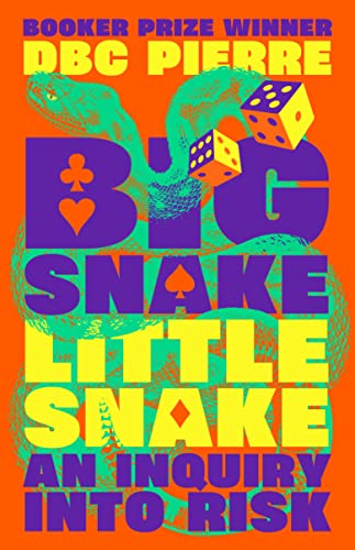 Imagen de archivo de Big Snake Little Snake: An Inquiry Into Risk a la venta por BookOutlet