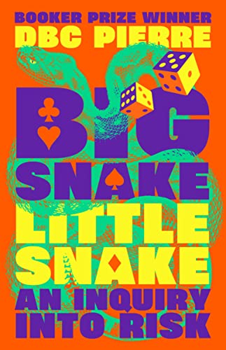 Stock image for Big Snake Little Snake: An Inquiry Into Risk for sale by BookOutlet
