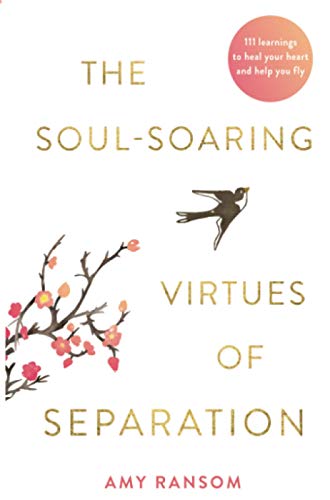 Stock image for The Soul-Soaring Virtues of Separation: 111 Learnings to Heal Your Heart and Help You Fly for sale by WorldofBooks
