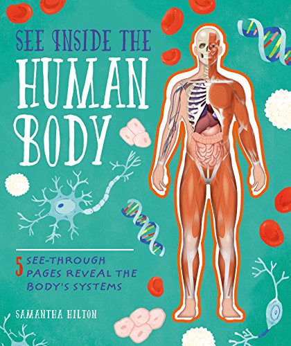 Beispielbild fr See Inside the Human Body zum Verkauf von WorldofBooks