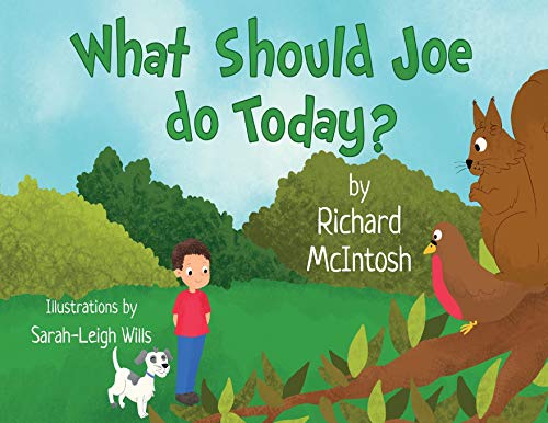 9781788306706: What Should Joe Do Today?