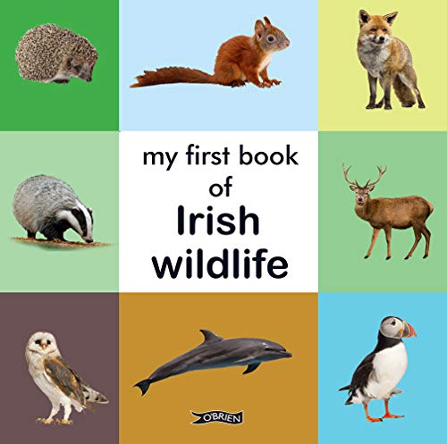 Beispielbild fr My First Book of Irish Wildlife zum Verkauf von Books From California