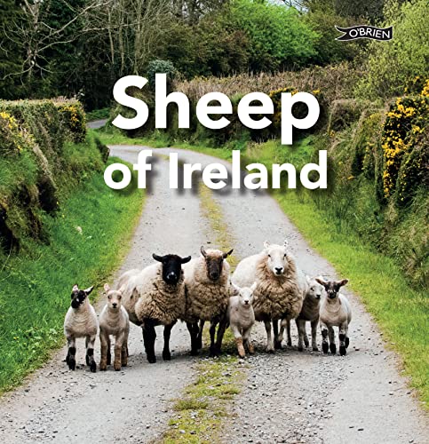 Beispielbild fr Sheep of Ireland zum Verkauf von SecondSale