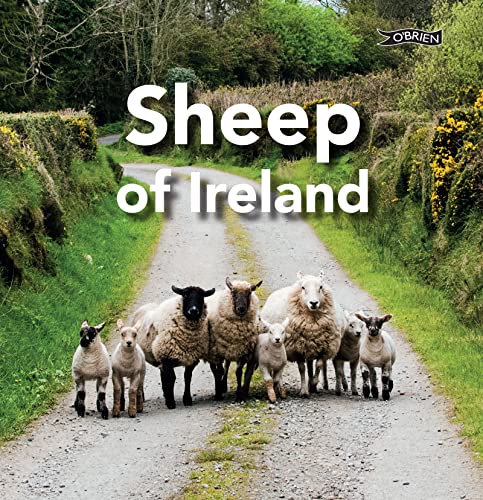Stock image for Sheep of Ireland for sale by SecondSale