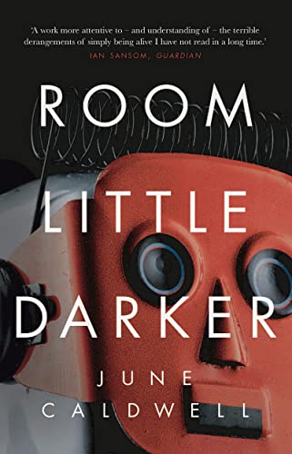 Stock image for Room Little Darker for sale by Discover Books