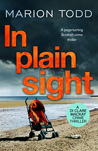 Stock image for In Plain Sight: A page-turning Scottish crime thriller (Detective Clare Mackay): 2 for sale by ThriftBooks-Atlanta