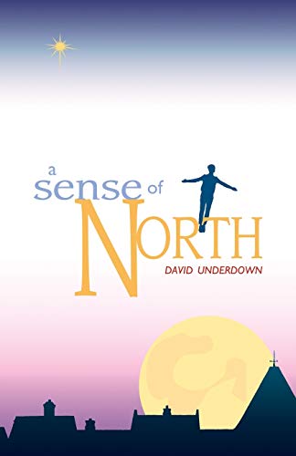 Beispielbild fr Sense of North zum Verkauf von WorldofBooks