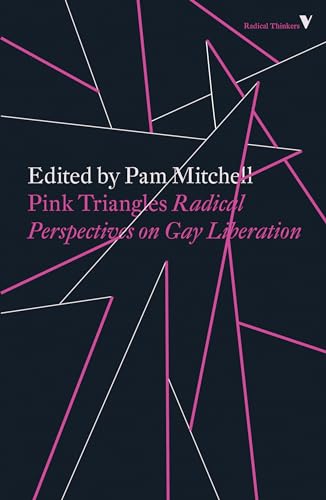 9781788732345: Pink Triangles: Radical Perspectives on Gay Liberation