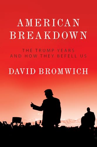 Imagen de archivo de American Breakdown : The Trump Years and How They Befell Us a la venta por Better World Books