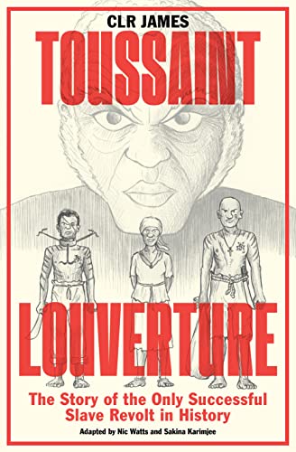 Stock image for Toussaint Louverture: The Story of the Only Successful Slave Revolt in History for sale by SecondSale