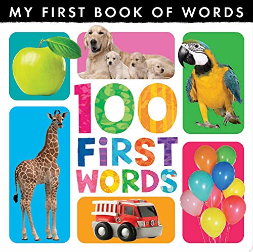 9781788817561: My First Book of Words: 100 First Words