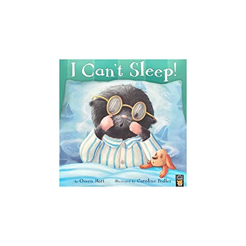 Beispielbild fr I Can't Sleep! zum Verkauf von WorldofBooks