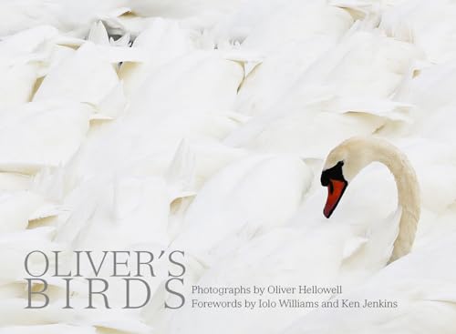 Beispielbild fr Oliver's Birds: By Oliver Hellowell zum Verkauf von WorldofBooks