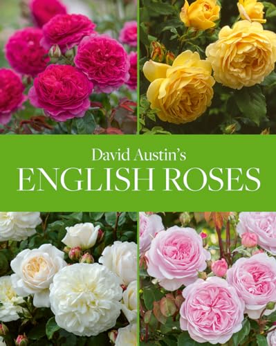 Stock image for David Austin's English Roses for sale by WorldofBooks