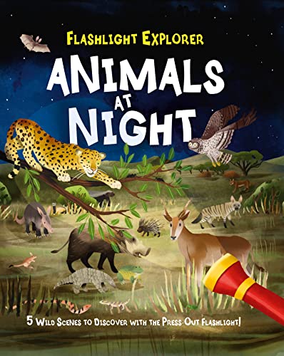 9781788886963: Flashlight Explorer: Animals at Night: 5 Wild Scenes to Discover with the Press-Out Flashlight: 1 (Flashlight Explorers)