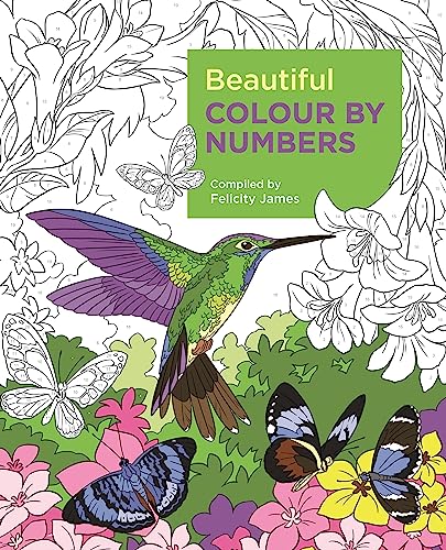 Beispielbild fr Beautiful Colour by Numbers (Arcturus Colour by Numbers Collection, 12) zum Verkauf von WorldofBooks
