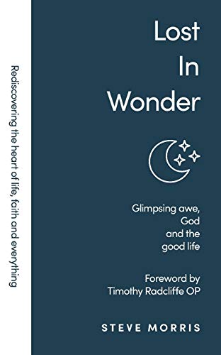 Imagen de archivo de Lost in Wonder: Glimpsing Awe, God and the Good Life (Rediscovering Faith Life And Everything) a la venta por WorldofBooks