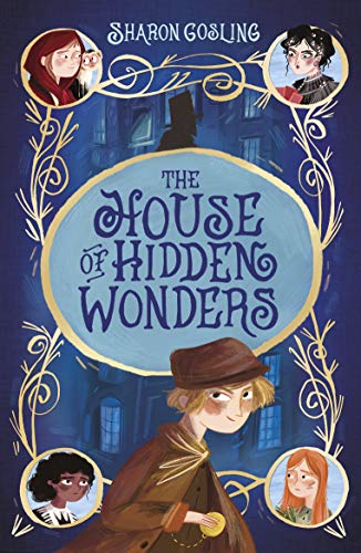 Beispielbild fr The House of Hidden Wonders zum Verkauf von AwesomeBooks