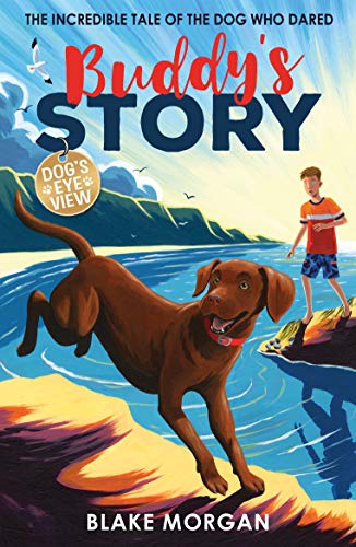 9781788951913: Buddy's Story
