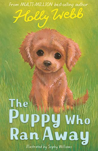 Stock image for The Puppy Who Ran Away for sale by WorldofBooks