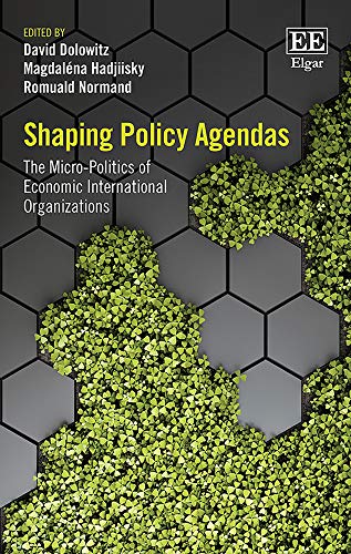 Stock image for Shaping Policy Agendas: The Micro-Politics of Economic International Organizations for sale by Books From California