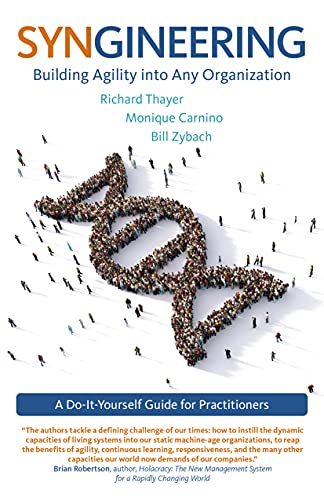 Beispielbild fr Syngineering: Building Agility into Any Organization: A Do-It-Yourself Guide for Practitioners zum Verkauf von PaceSetter Books