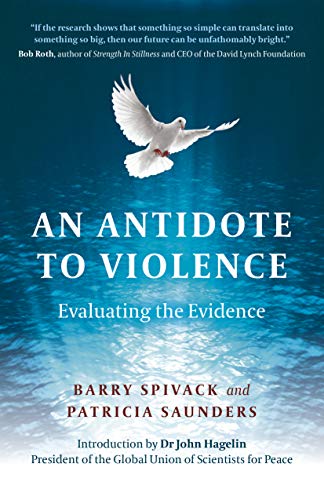 Beispielbild fr An Antidote to Violence : Evaluating the Evidence zum Verkauf von Better World Books