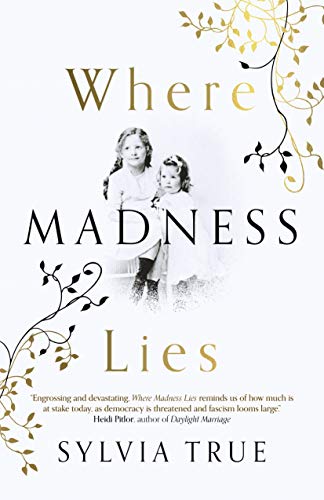 Beispielbild fr Where Madness Lies: A Novel zum Verkauf von BooksRun
